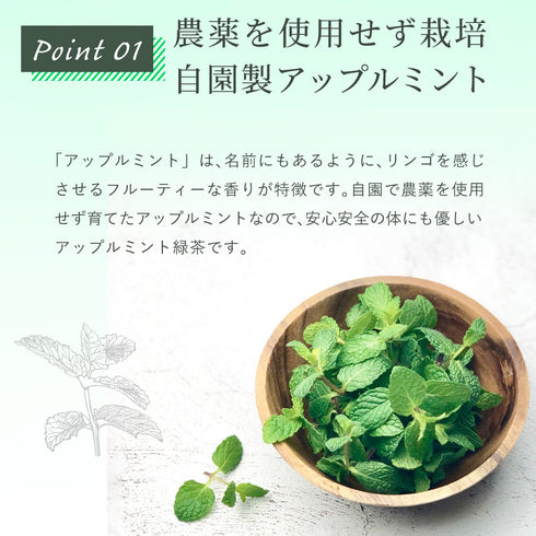 蘋果薄荷 x 綠茶茶包 2.5g x 35p
